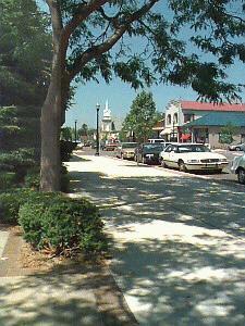 Downtown Shopping in Pentwater